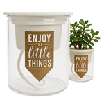 Doniczka Samopodlewająca - 10,2cm - Transparentna - Automatyczny Podlewacz Roślin