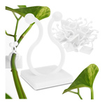 Uchwyt do Mocowania Pnączy Roślin - Idealna Pomoc do Organizowania Kwiatów i Winorośli - Samoprzylepny Haczyk - 10 Sztuk